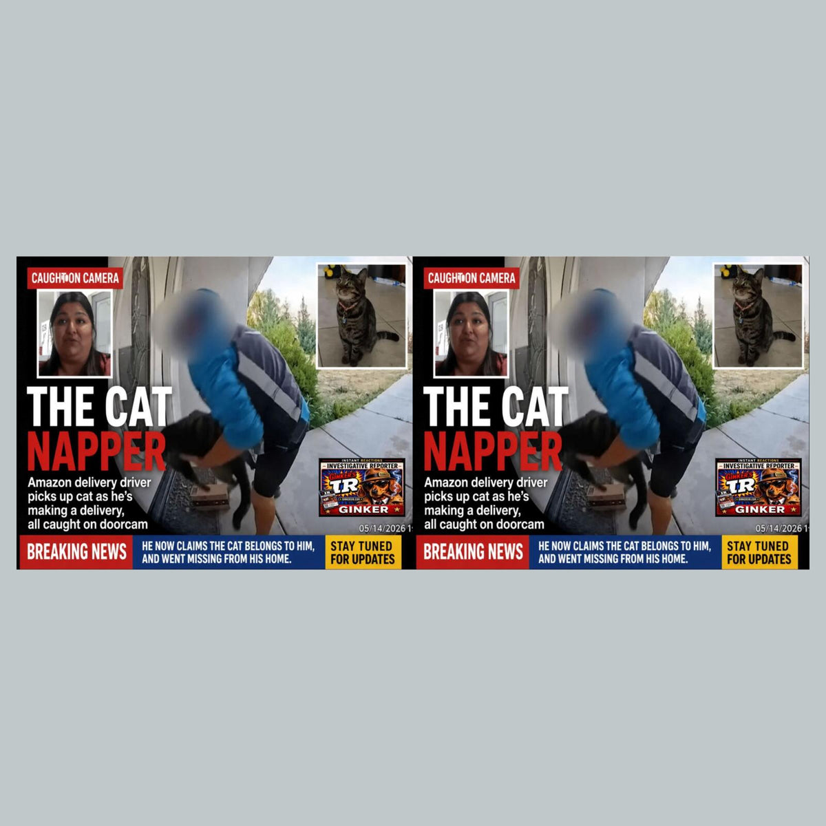 2841 Cat Napper Naps Cat While Napping | Ginker’s Instant Reactions 8X10 Print