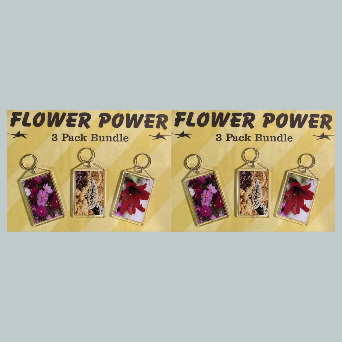 3687B Threefer Bundle Cosmos/Chrysanthemu/Amaryllis Acrylic Keychain