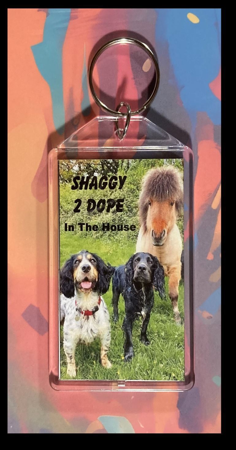 3284 Shaggy 2 Dope Custom Hand Made Keychain - Makes A Great Gift
