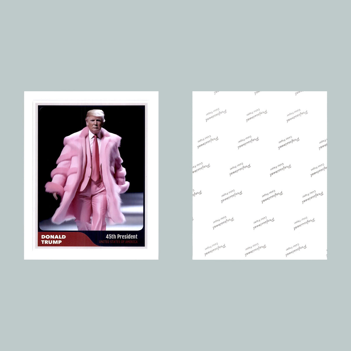 0502 P-8X10 Trump Runway Glossy Photo Fast-Secure Shipping MS