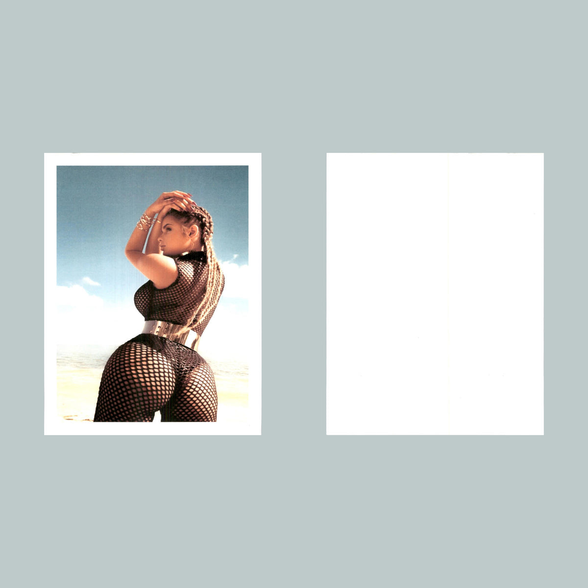 0038 P-8X10 Pinup Body Suit Glossy Photo Fast-Secure Shipping