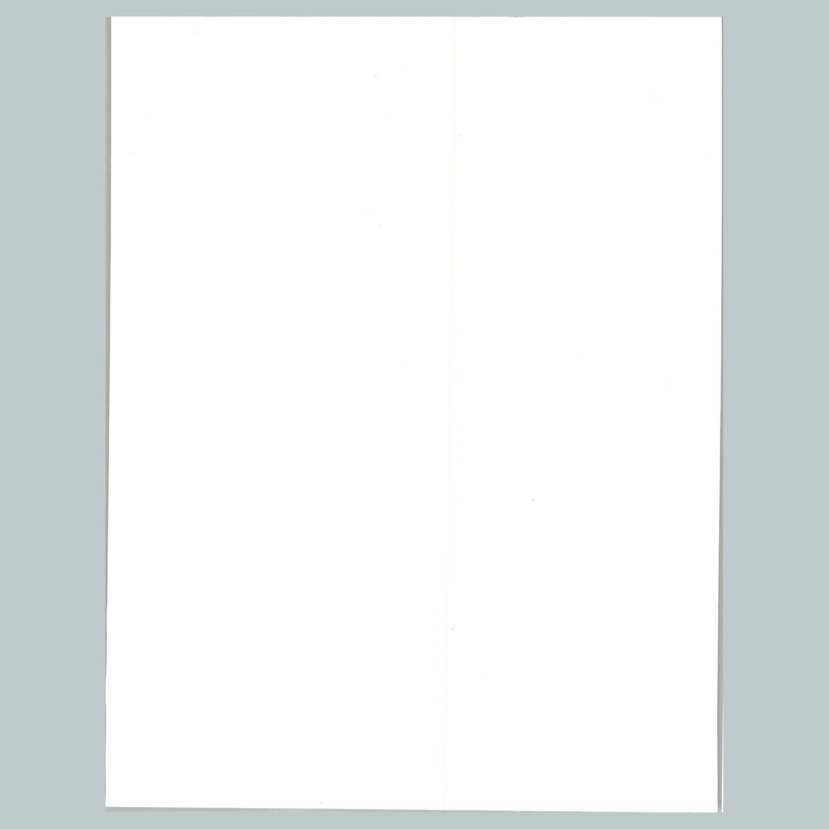 0049 P-8X10 Pinup Double Glossy Photo Fast-Secure Shipping