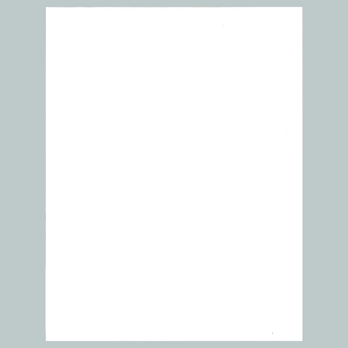 0205 P -8X10 Pinup White Outfit Glossy Photo Fast-Secure Shipping MS