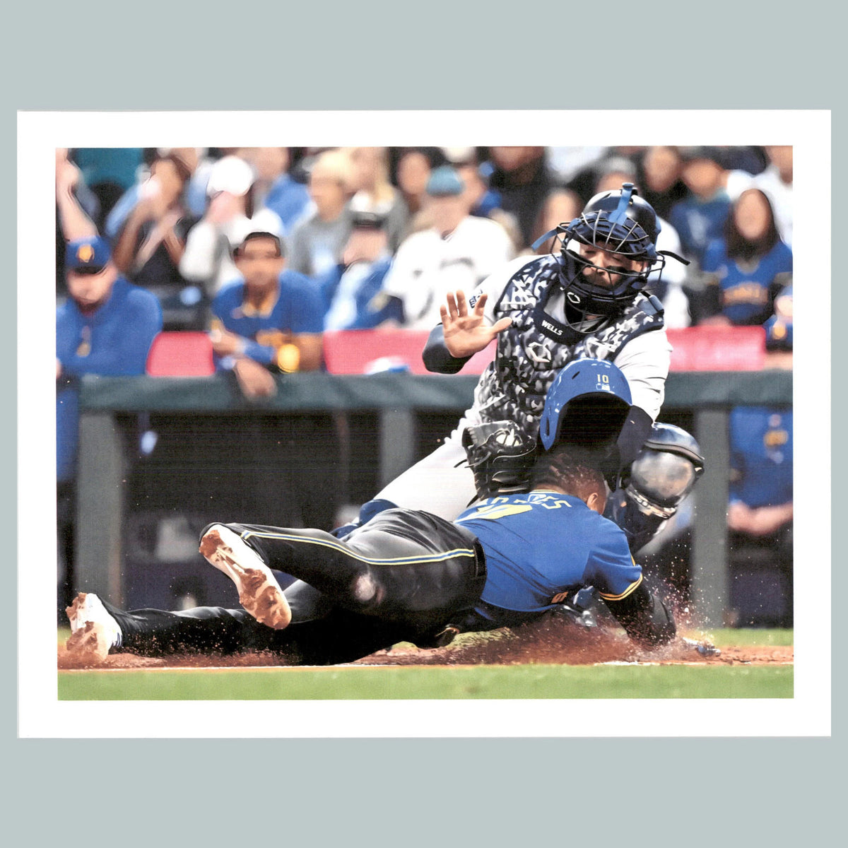 0318 P -8X10 Austin Wells Glossy Photo Fast-Secure Shipping BBL