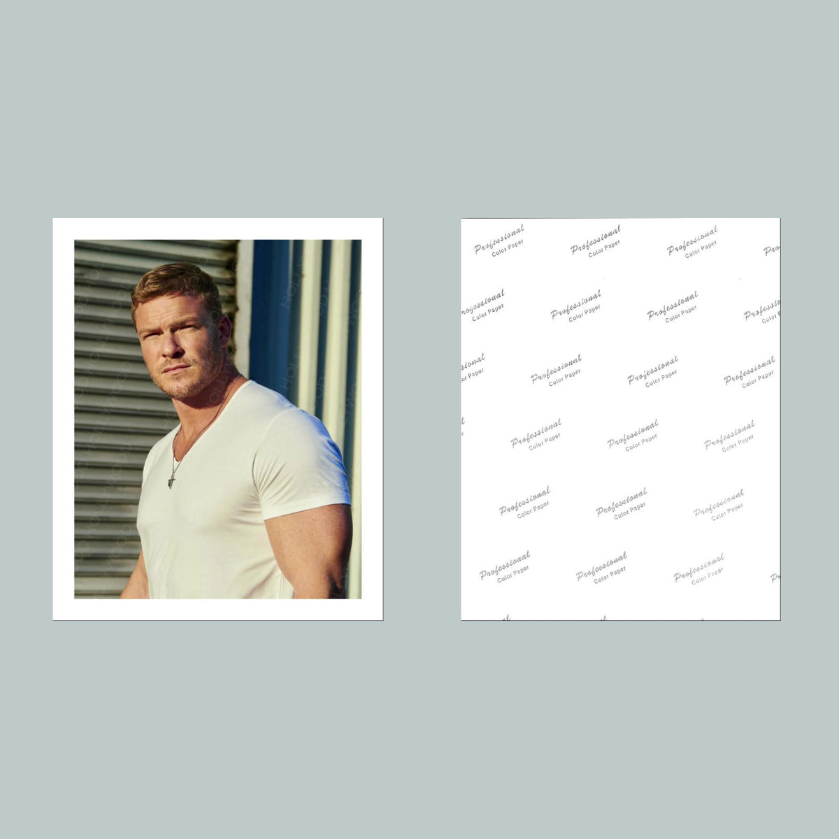 1641 Alan Ritchson 8x10 Glossy Photo- Fast-Secure Shipping