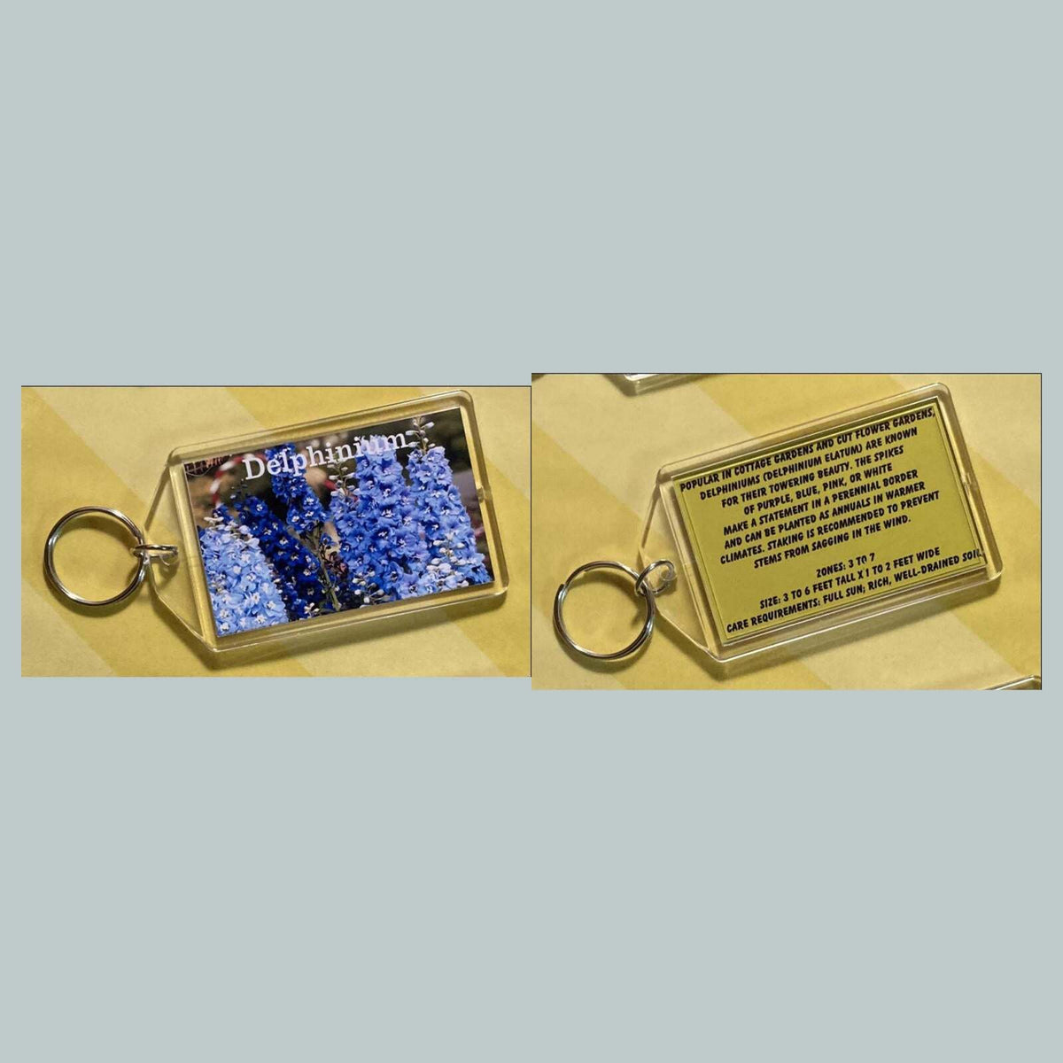 3672 Delphinium Custom Hand Made Keychain