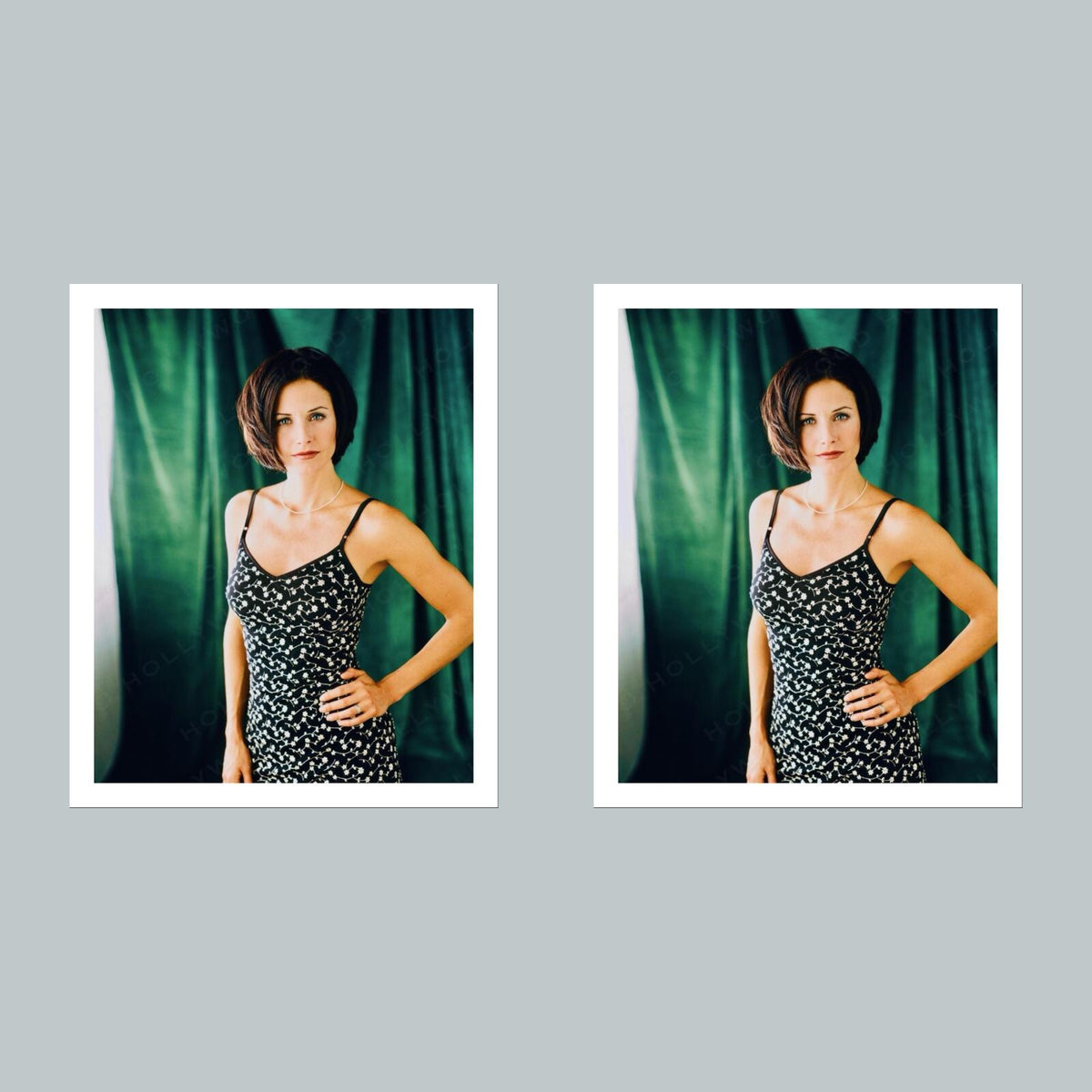 2069 Courteney Cox 8x10 Glossy Photo - Fast-Secure Shipping MS