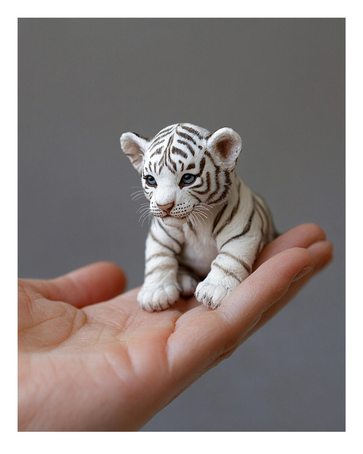 0577 P-8X10 Tiger Cub in Hand Glossy Photo MS