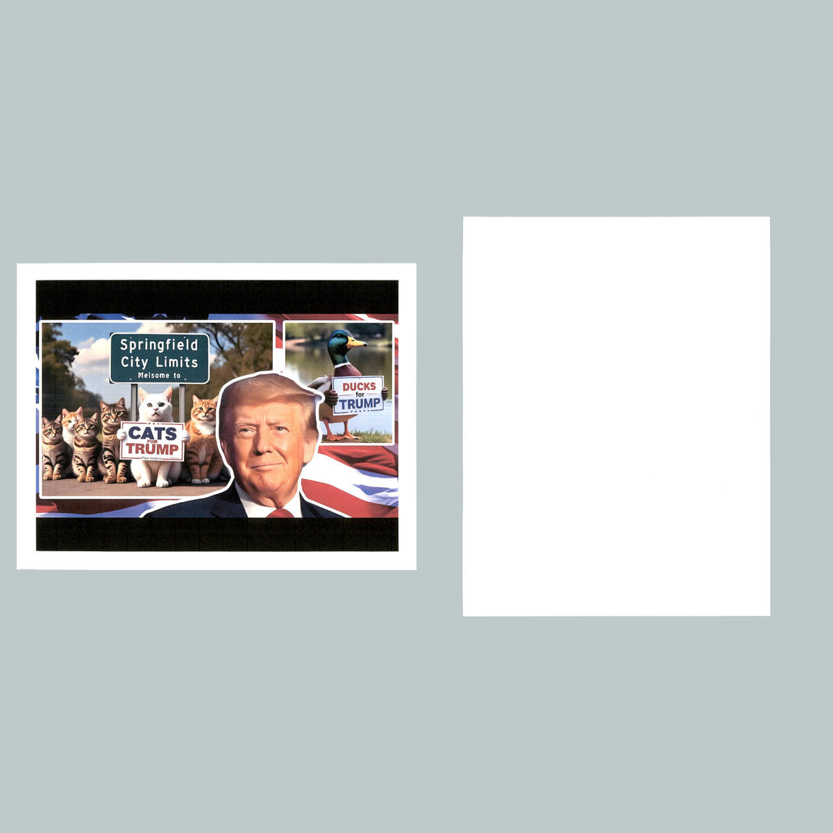 0187 P -8X10 Trump Springfield Glossy Photo Fast-Secure Shipping MS