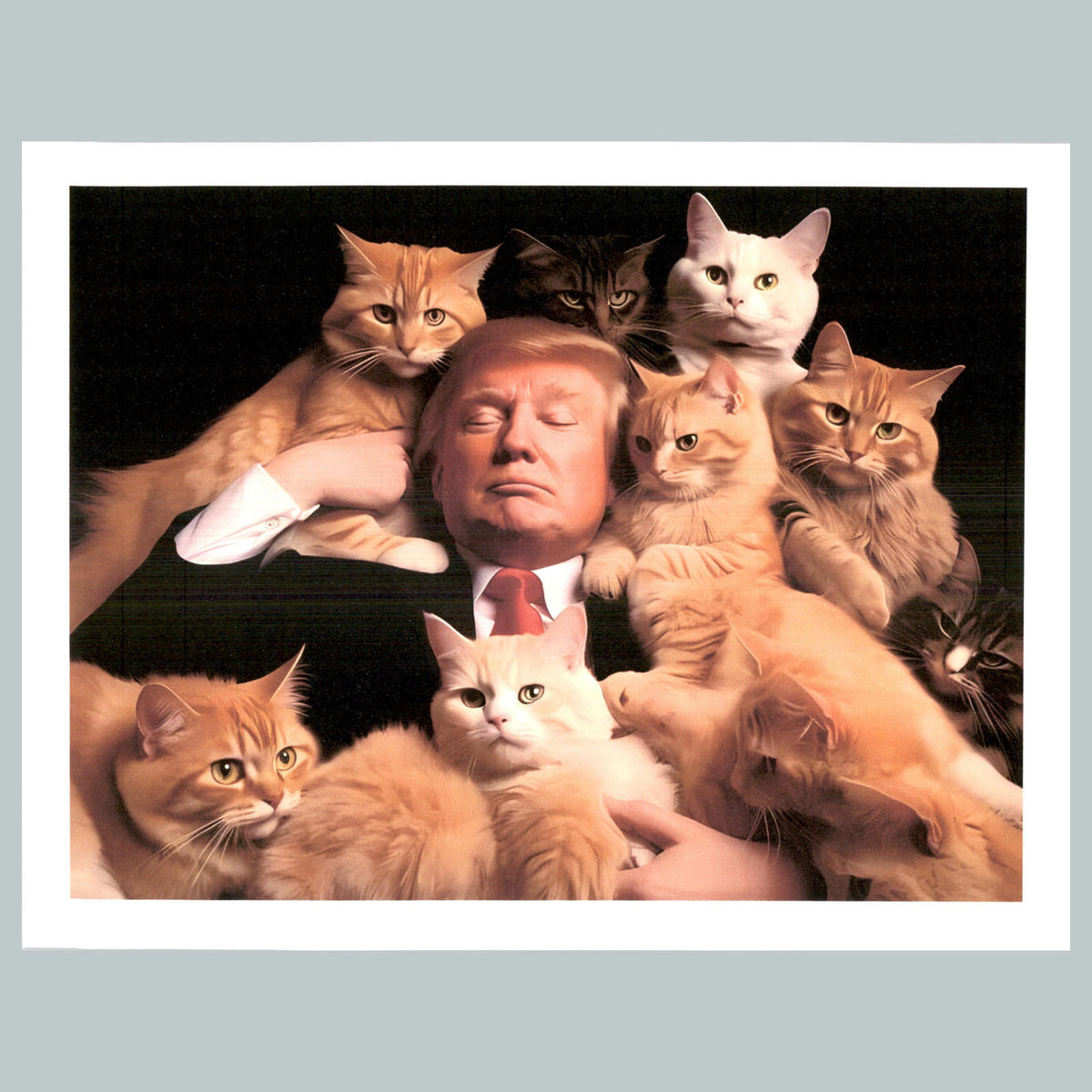 0193 P -8X10 Trump Dozing With Cats Glossy Photo Fast-Secure Shipping MS