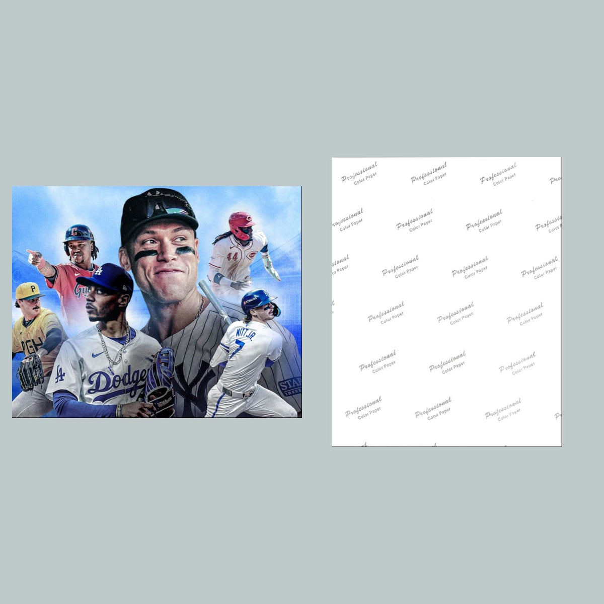 1200 Aaron Judge and Friends 8x10 Glossy Photo - Fast-Secure Shipping BBL