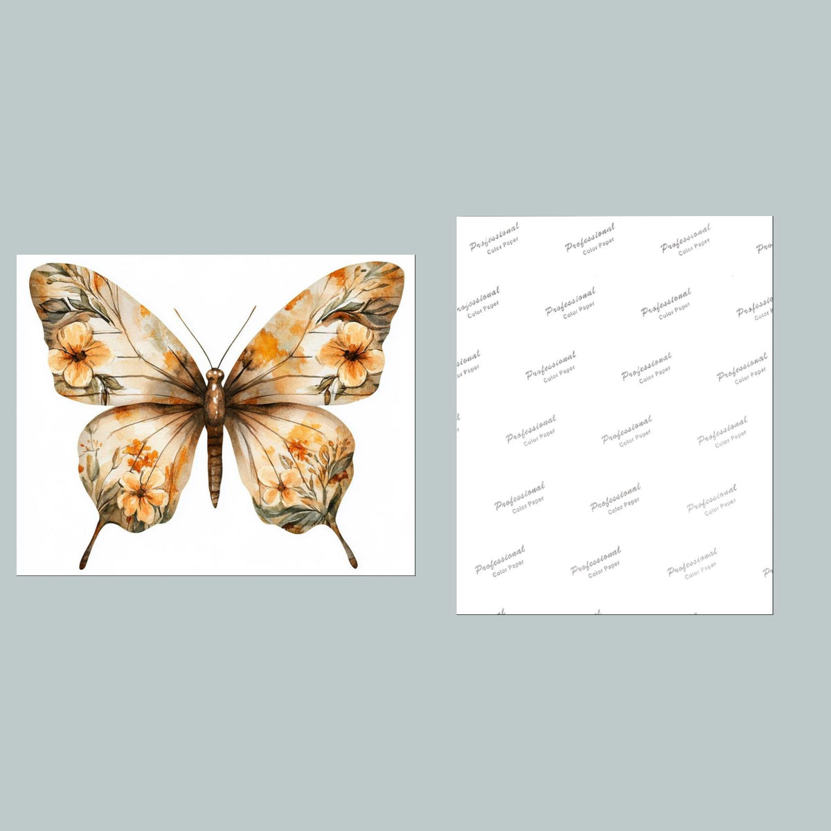 1312 Butterfly Flowers 8x10 Glossy Photo - Fast-Secure Shipping MS