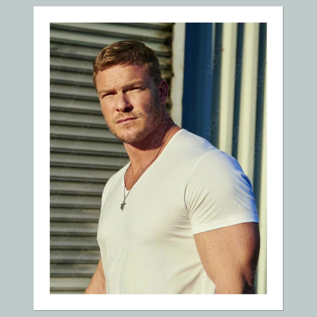 1641 Alan Ritchson 8x10 Glossy Photo- Fast-Secure Shipping