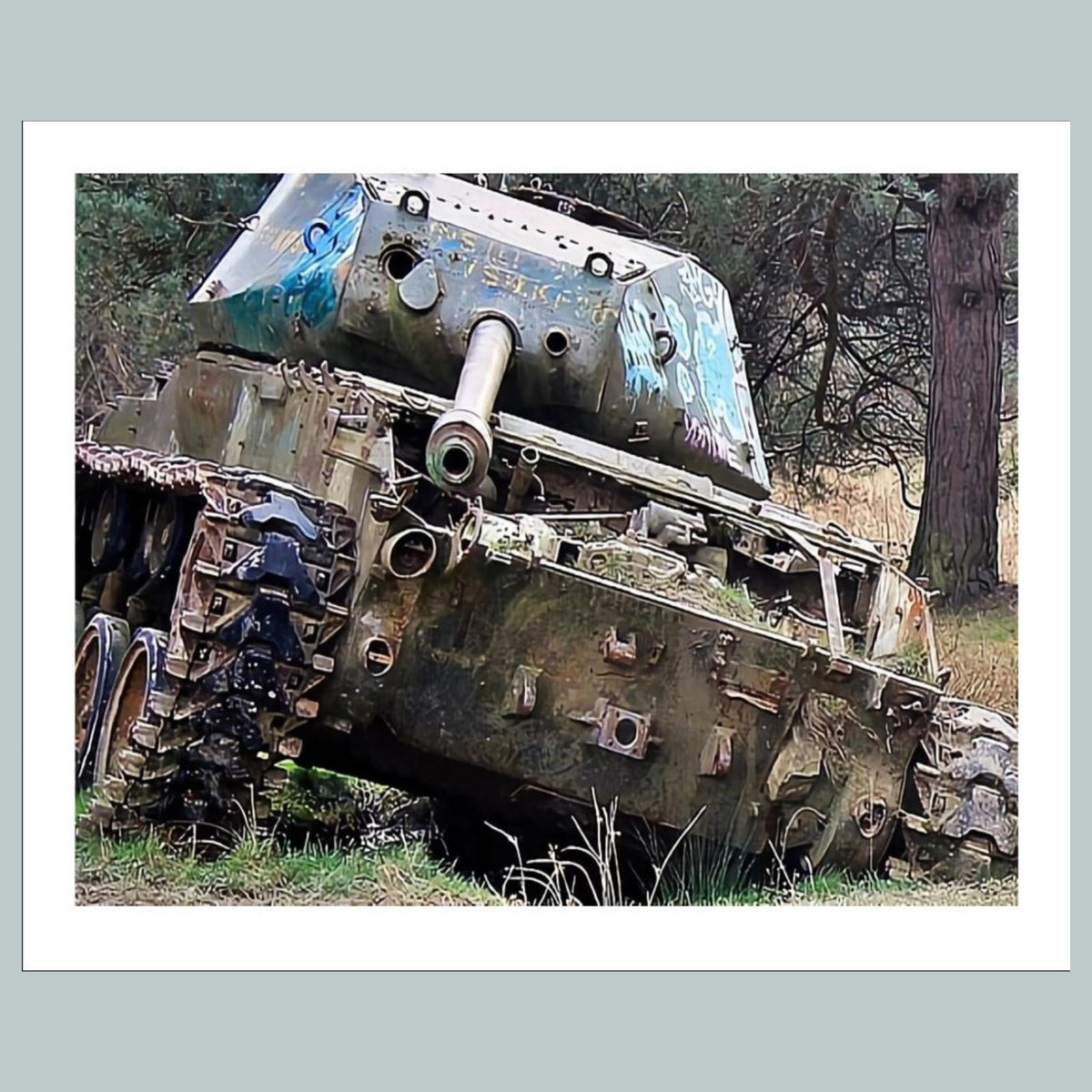 0930 P -8X10 Tank At Nature Reserve Brander Wald 8x10 Glossy Photo - Fast Ship