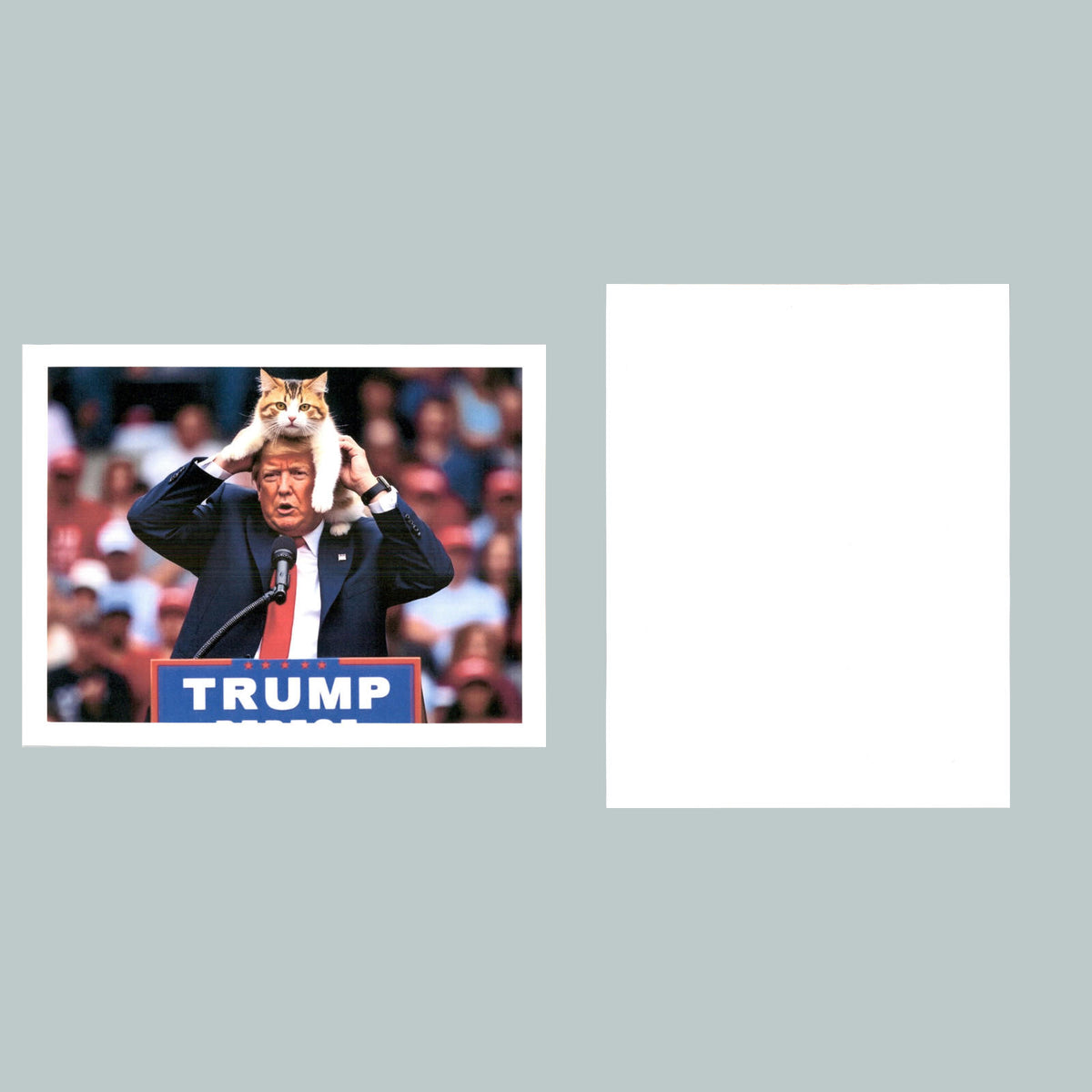 0203 P -8X10 Trump My New Maga Hat Glossy Photo Fast-Secure Shipping MS