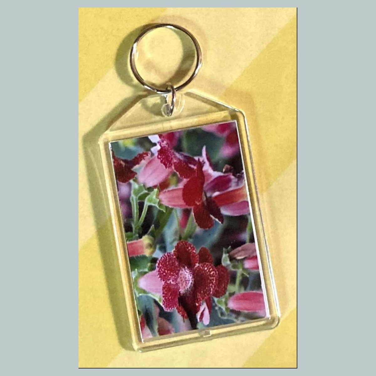 3702 Kohleria Acrylic Keychain | Floral Keychain | Flower Lover Gift