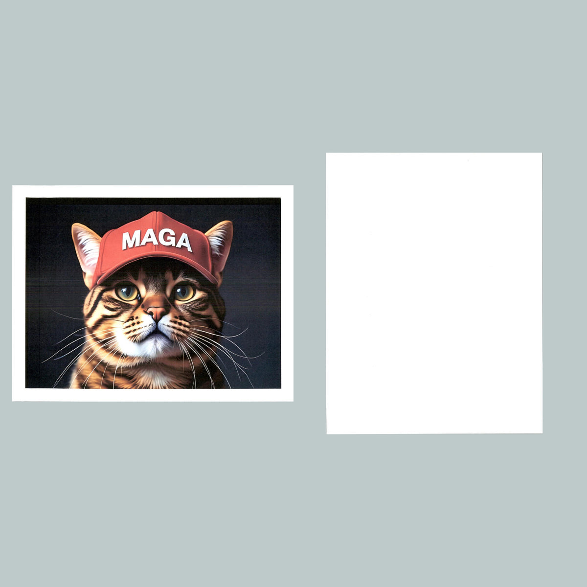 0189 P -8X10 Trump Maga Cat Glossy Photo Fast-Secure Shipping MS