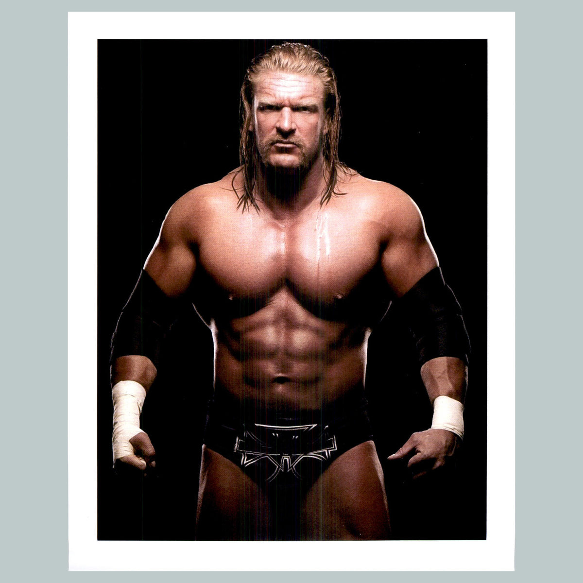 0550 P-8X10 Triple H Glossy Photo Fast-Secure Shipping MS