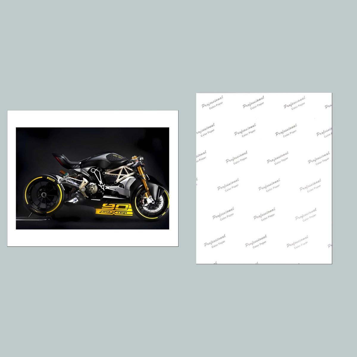 1439 Dragxter 8x10 Glossy Photo - Fast-Secure Shipping MS