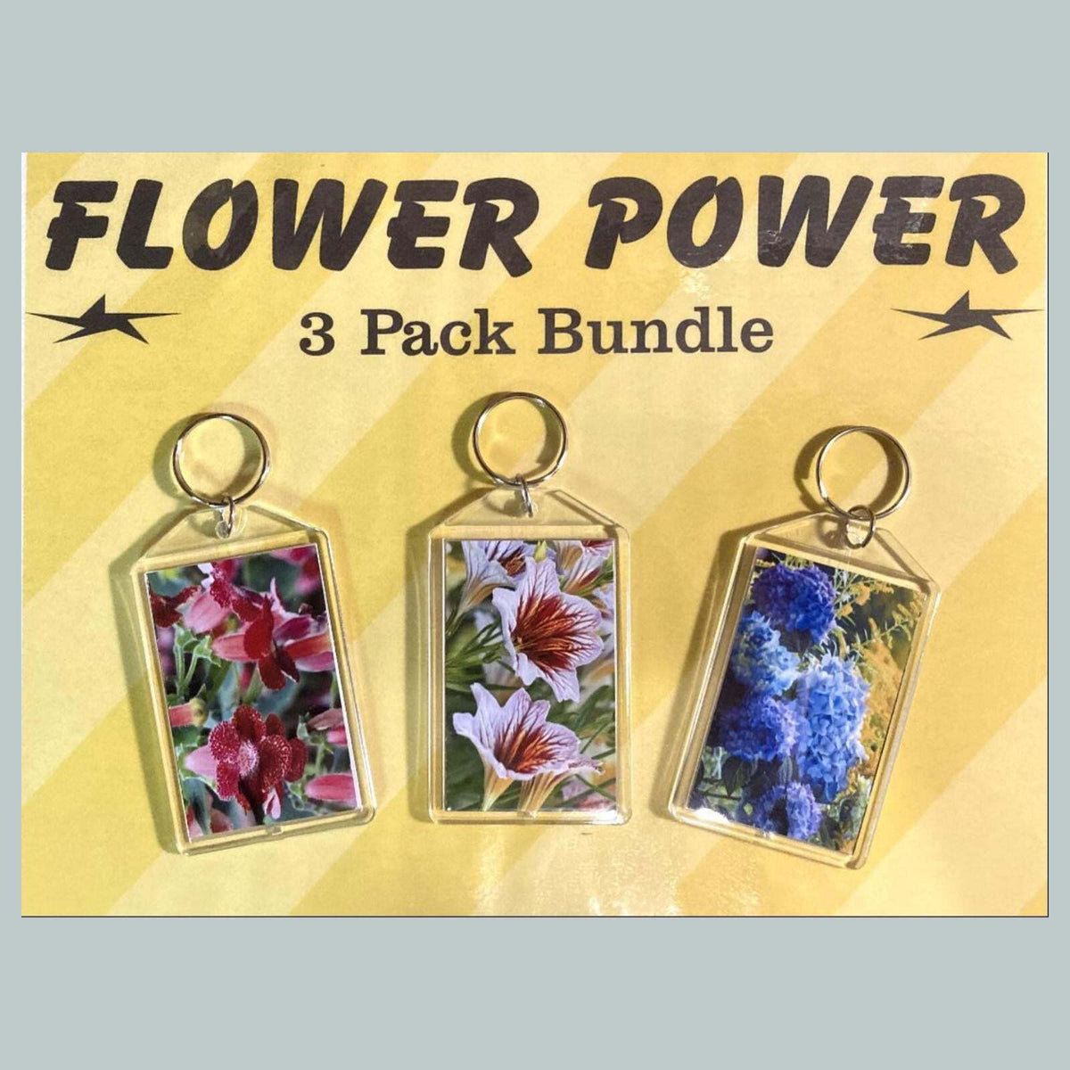 3676B Threefer Bundle Kohleria-Painted Tongue-Hydrangea Acrylic Keychain