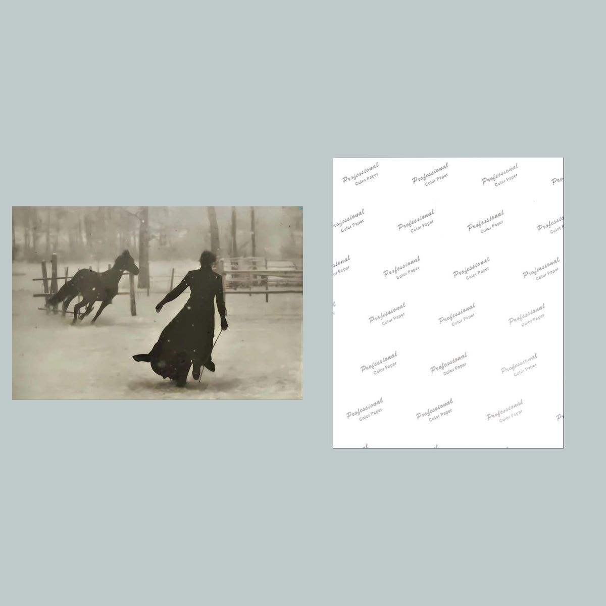 1279 Lady and her horse on a snowy day 8x10 Glossy Photo - Fast-Secure Shipping