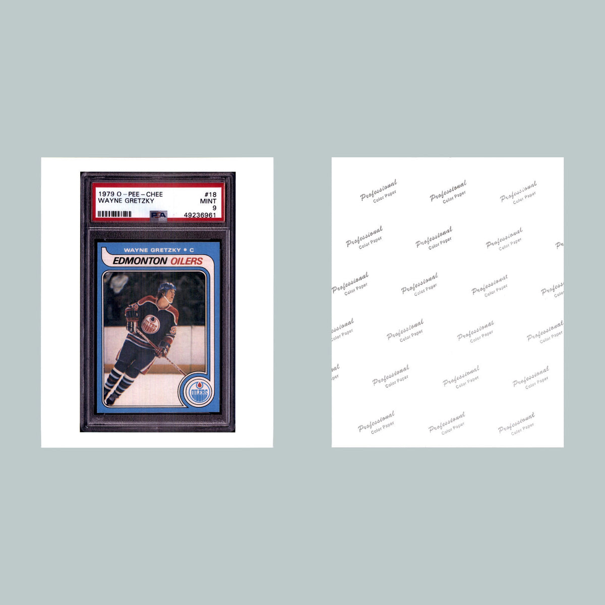0447 P -8X10 Wayne Gretzky 1979 O-Pee-Chee Rookie Glossy Photo Fast Shipping MS