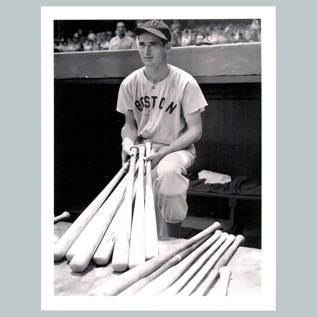0109 P -8X10 Ted Williams with Bats Glossy Photo Fast-Secure Shipping BBL