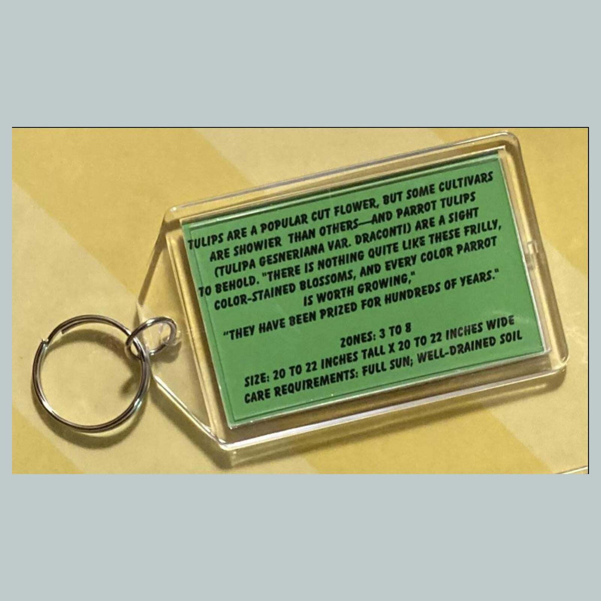 3671 Parrot Tulips Custom Hand Made Keychain