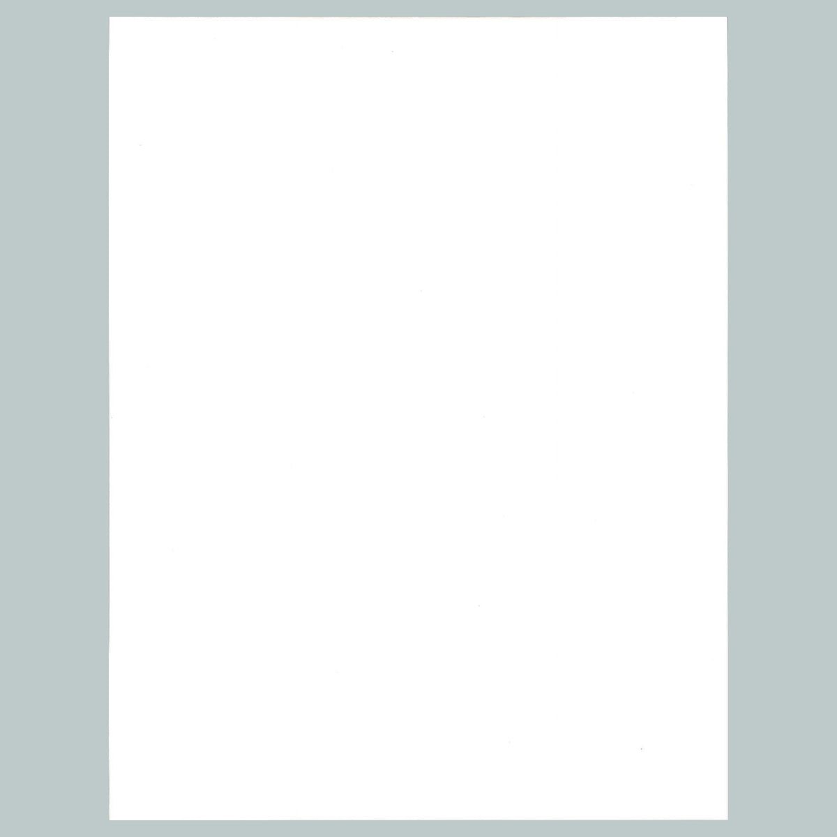 0203 P -8X10 Trump My New Maga Hat Glossy Photo Fast-Secure Shipping MS