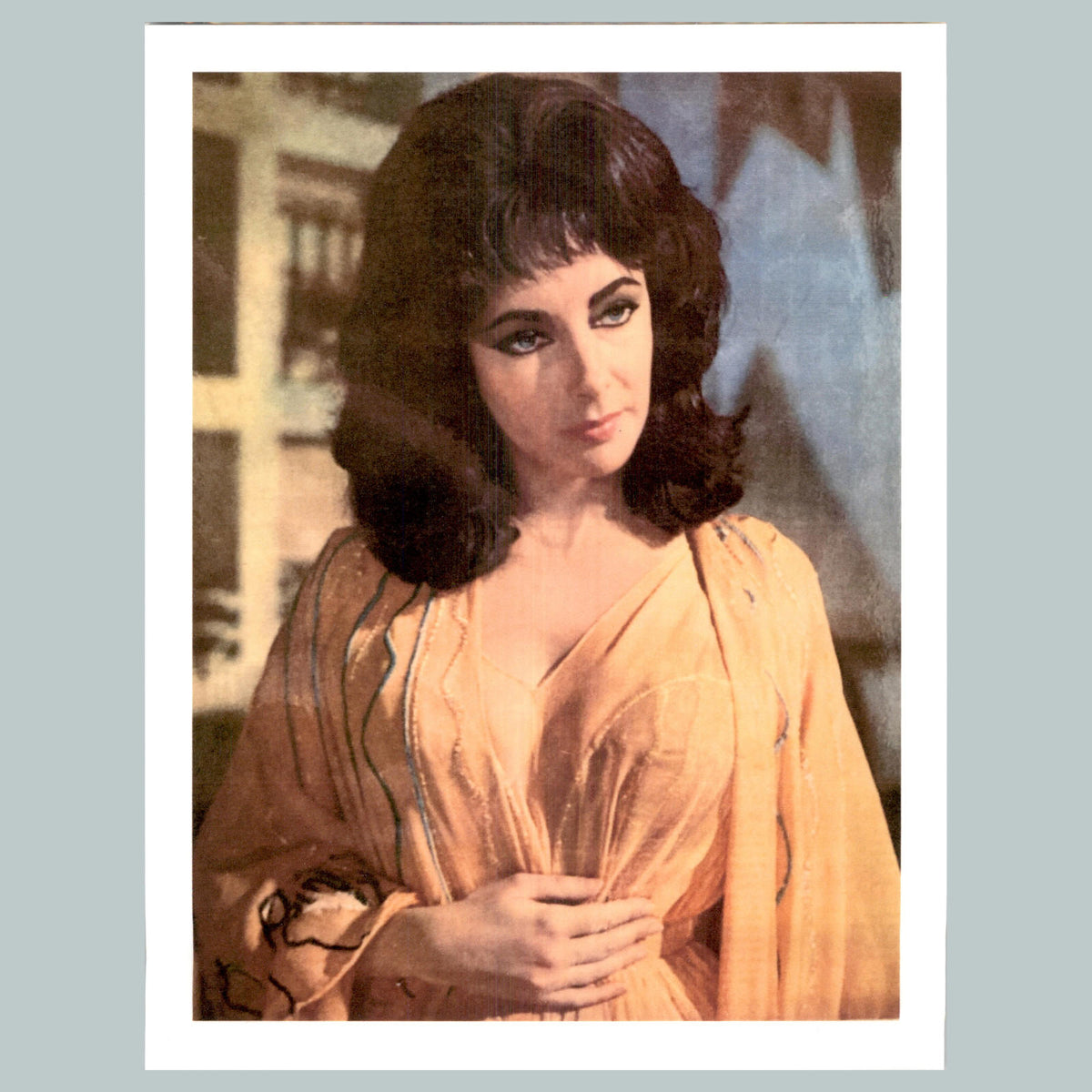 0014 P-8X10 Liz Taylor Robe Glossy Photo Fast-Secure Shipping