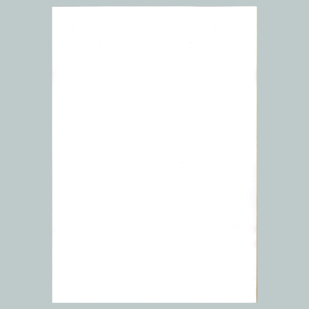 0330 P -8X10 Pinup Brown Background Glossy Photo Fast-Secure Ship MS
