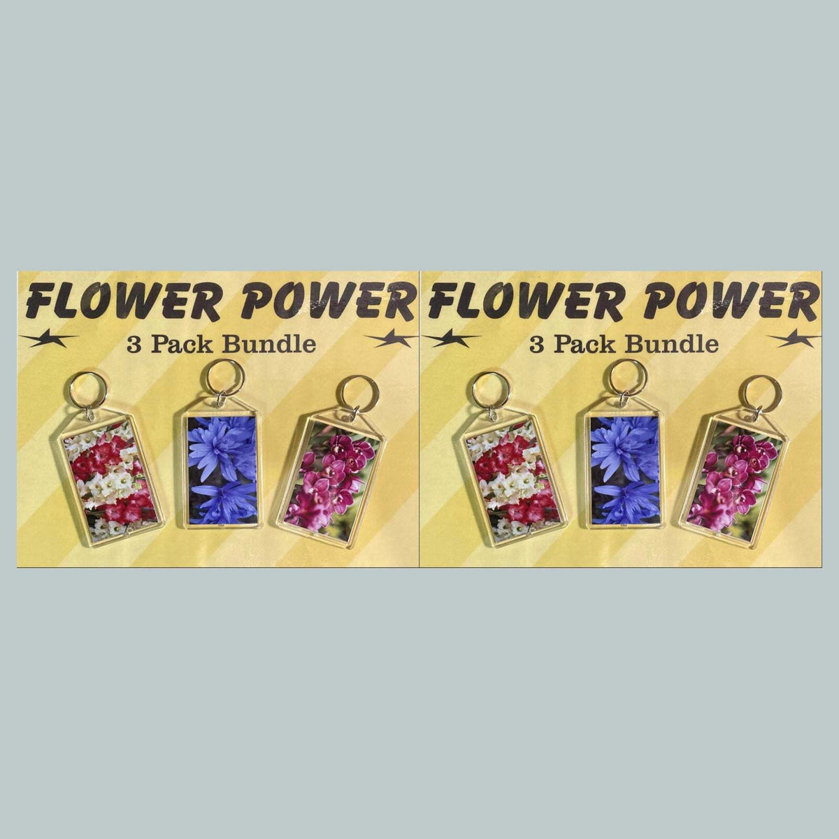 3706B Threefer Bundle Gladiolus/Crocus/Orchids Acrylic Keychain | Great Gift