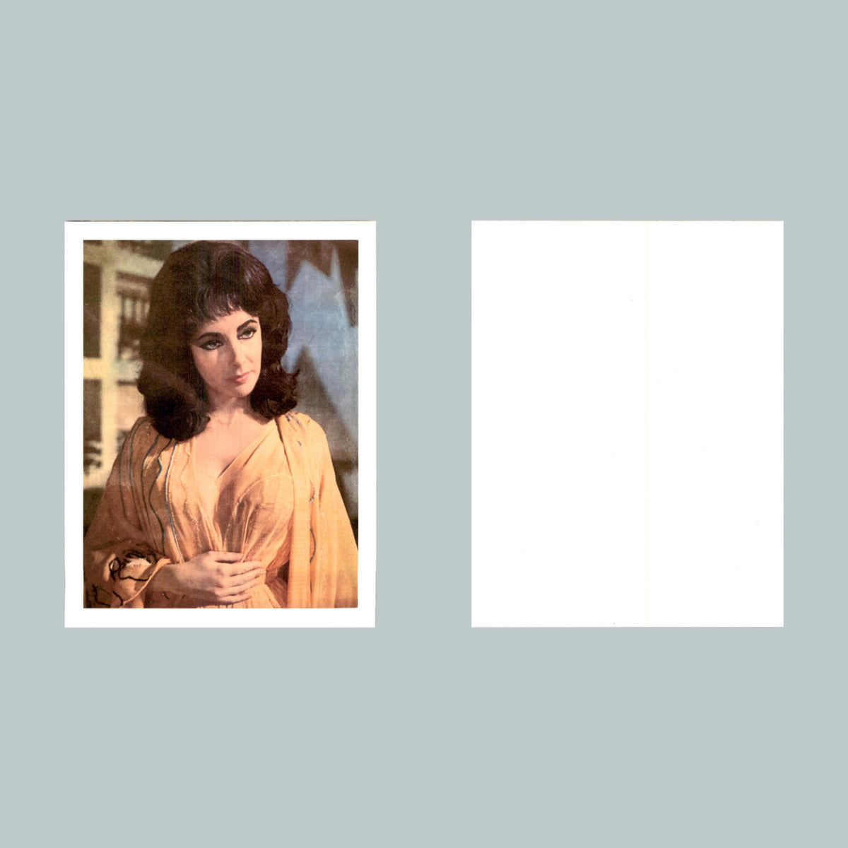 0014 P-8X10 Liz Taylor Robe Glossy Photo Fast-Secure Shipping