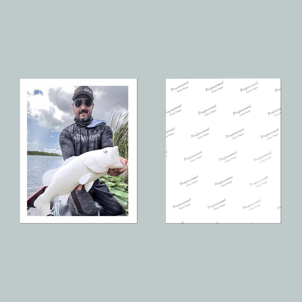1456 White Fish 8x10 Glossy Photo - Fast-Secure Shipping MS