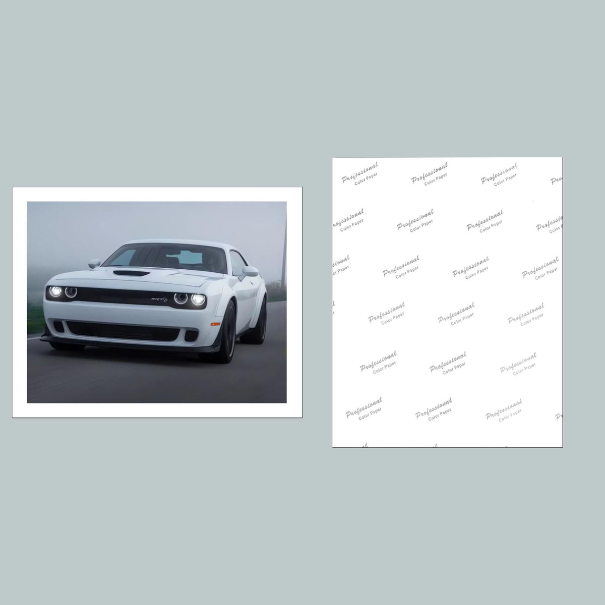1362 Dodge Challenger SRT Hellcat 8x10 Glossy Photo MS