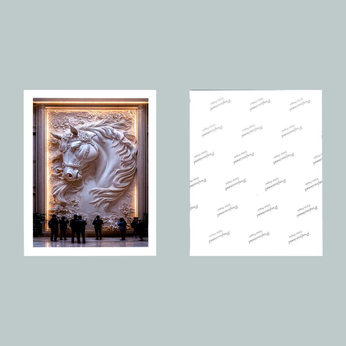 0535 P-8X10 Horse Wall Mural Glossy Photo Fast-Secure Shipping MS