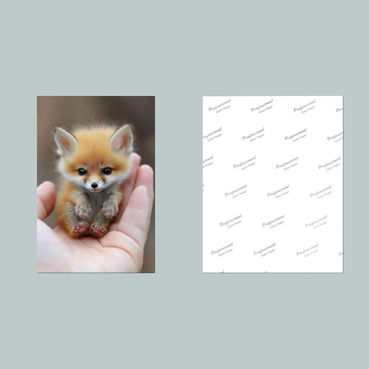 1327 Fox Mini Pensive 8x10 Glossy Photo - Fast-Secure Shipping MS