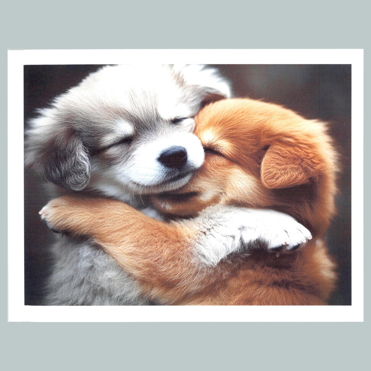 0375 P -8X10 Puppies Cuddling Glossy Photo Fast-Secure Shipping MS