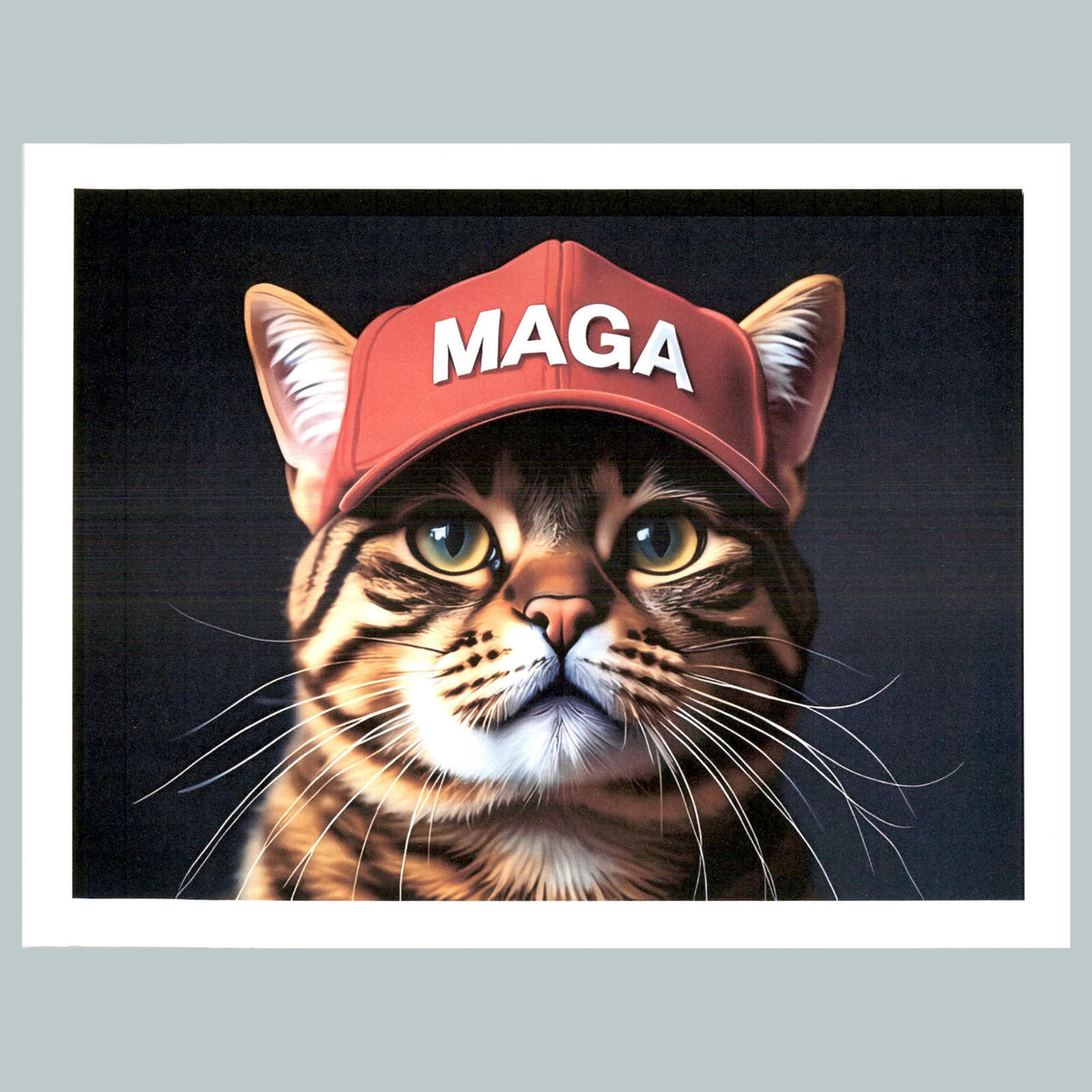 0189 P -8X10 Trump Maga Cat Glossy Photo Fast-Secure Shipping MS