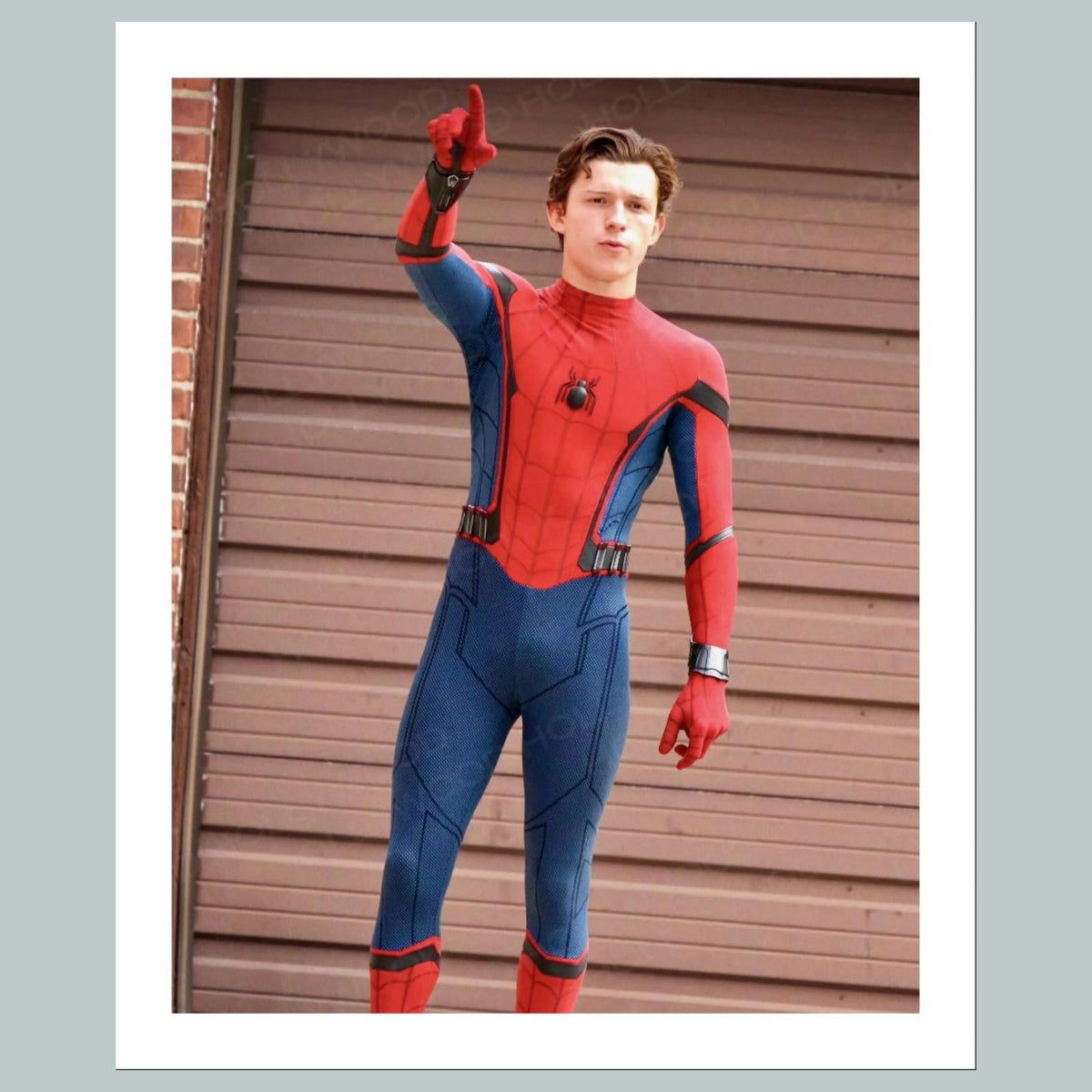 1658 Tom Holland 8x10 Glossy Photo- Fast-Secure Shipping
