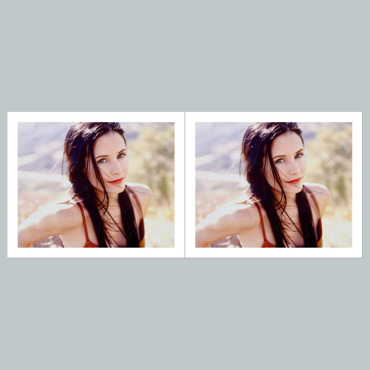 2070 Courteney Cox 8x10 Glossy Photo - Fast-Secure Shipping MS