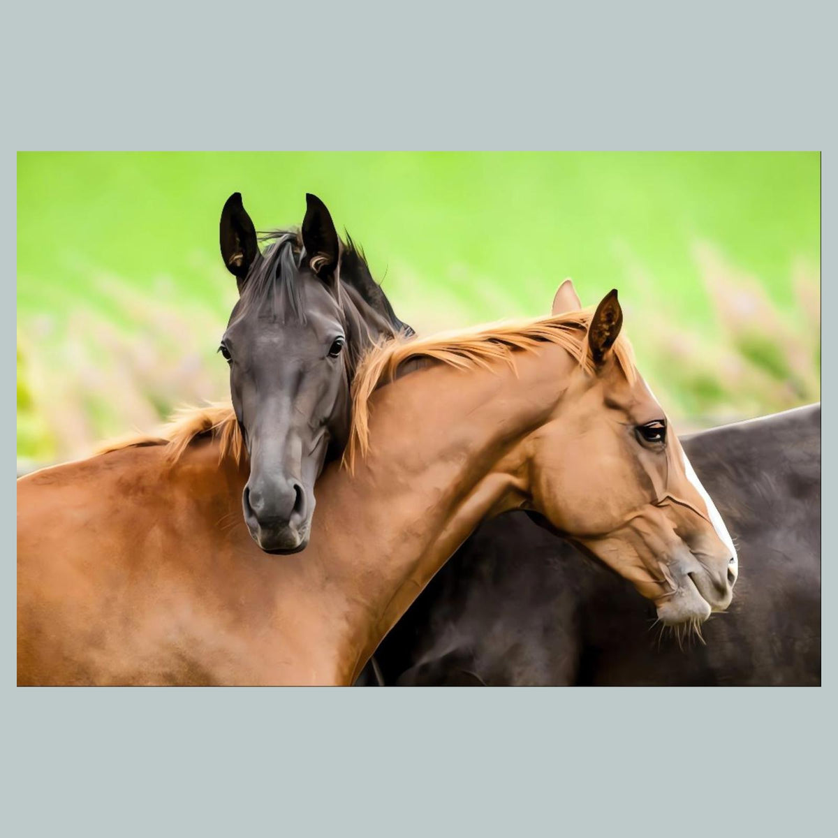 1231 2 Horses 8x10 Glossy Photo - Fast-Secure Shipping MS