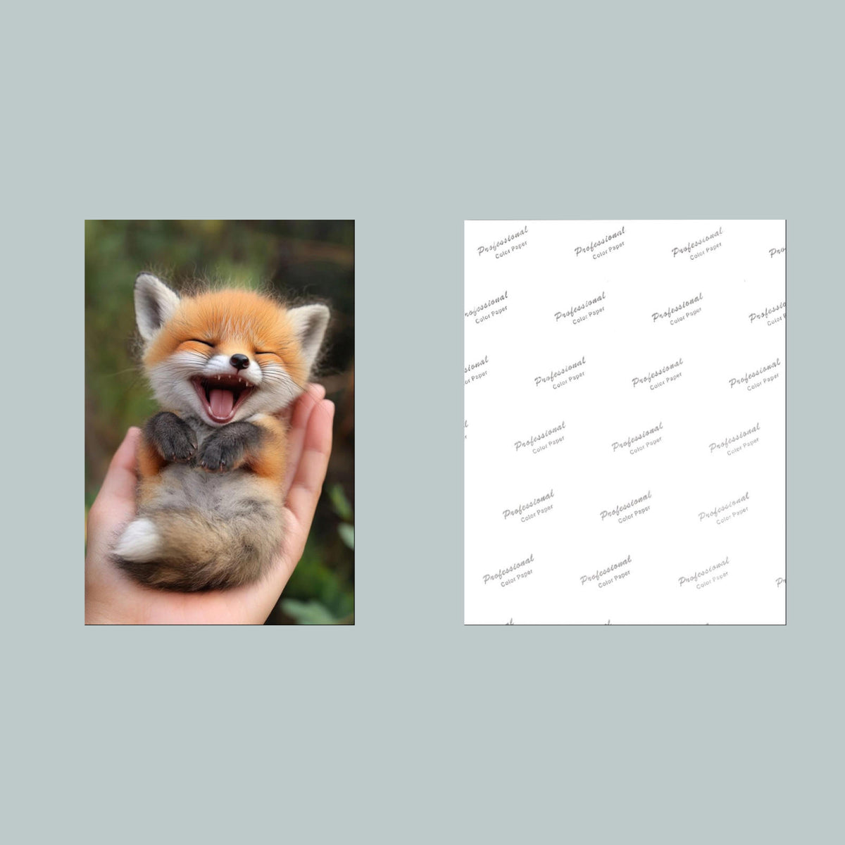 1329 Fox Mini Laughing 8x10 Glossy Photo - Fast-Secure Shipping MS