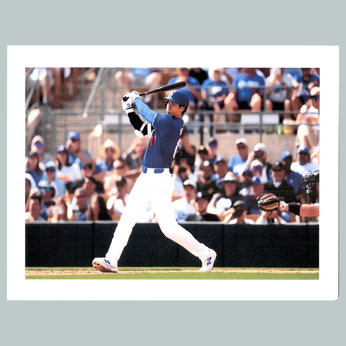 0117 P -8X10 Shohei Ohtani Batting Glossy Photo Fast-Secure Shipping BBL