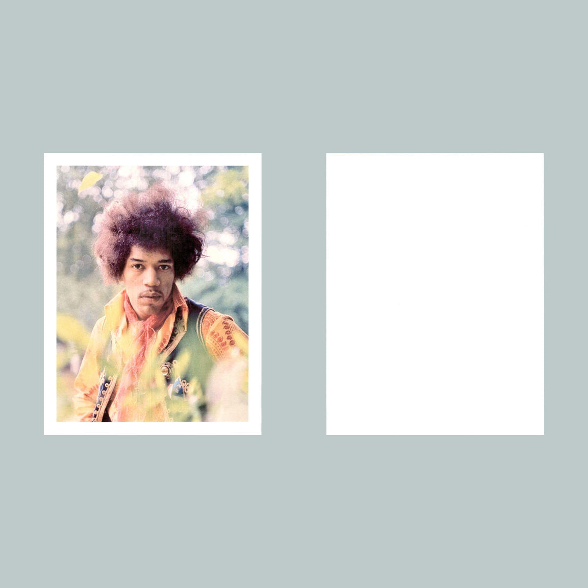 0050 P-8X10 Jimi Hendrix Field Glossy Photo Fast-Secure Shipping