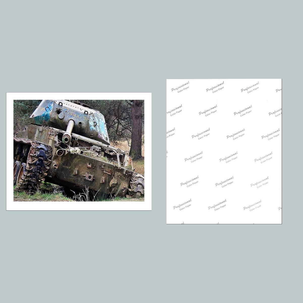 0930 P -8X10 Tank At Nature Reserve Brander Wald 8x10 Glossy Photo - Fast Ship
