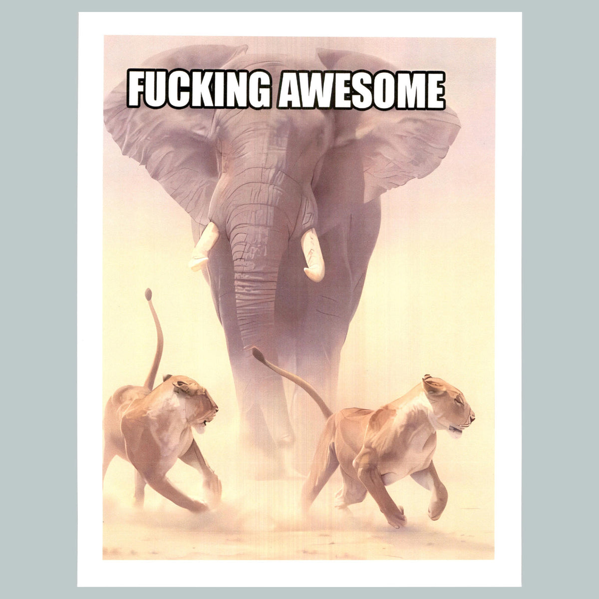 0070 P -8X10 Elephant-Get Outta My Way Glossy Photo Fast-Secure Shipping