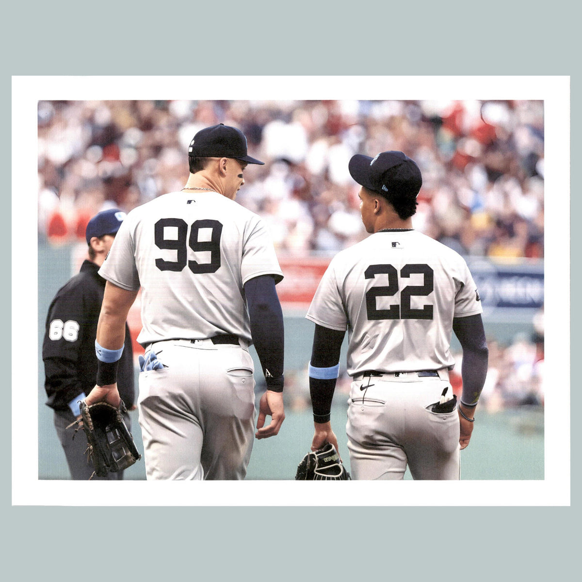 0315 P -8X10 Aaron Judge and Juan Soto-Backs Glossy Photo BBL