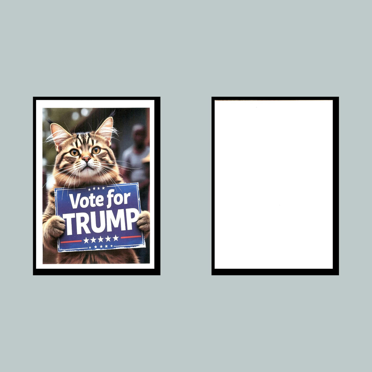 0194 P -8X10 Trump Sign-Cat Glossy Photo Fast-Secure Shipping MS