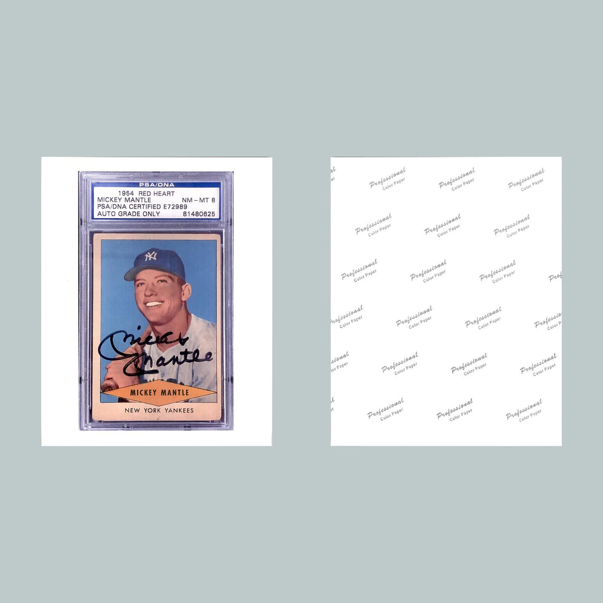 1179 8x10 Mickey Mantle Glossy Photo - Fast-Secure Shipping - Great Gift BBL